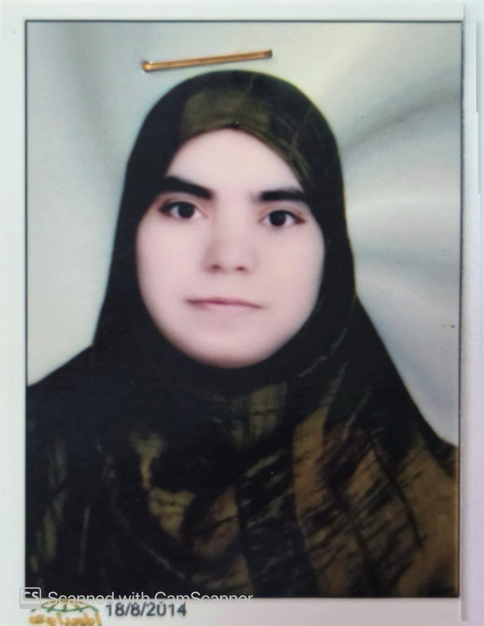 eman shafik abdel hamid badr